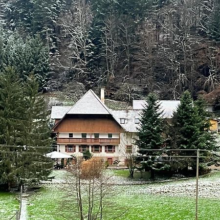 Geraeumige Wohnung Im Schwarzwald Seelbach  Exterior foto
