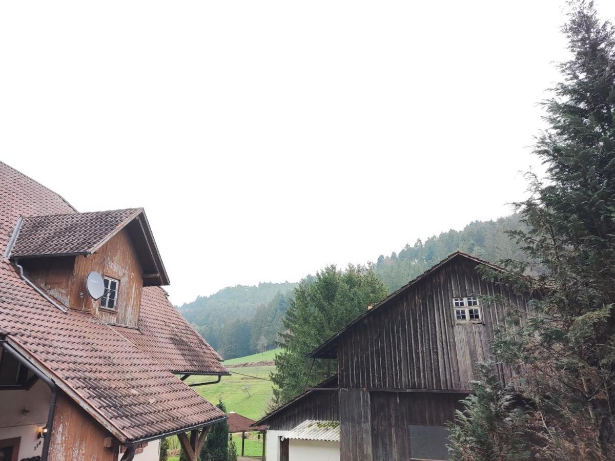 Geraeumige Wohnung Im Schwarzwald Seelbach  Exterior foto